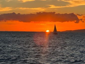 BYOB Sunset Sailing Tour (Up to 6 Passengers) image 8