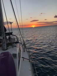 BYOB Sunset Sailing Tour (Up to 6 Passengers) image 7