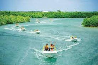 Jungle Tour with Speed Boat & Snorkel Experience image 5