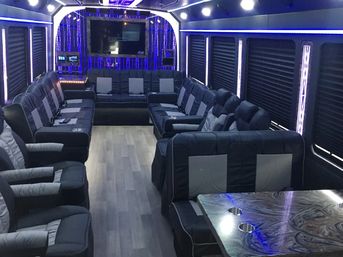 Luxury Mini Party Buses with Uniformed Chauffeur & Optional Drink Packages (14-39 Passengers) image 12