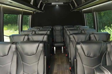 Luxury Mini Party Buses with Uniformed Chauffeur & Optional Drink Packages (14-39 Passengers) image 3