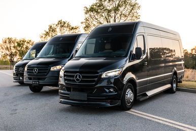 Party-Ready VIP Sprinter: Houston's Luxe Ride for Bachelorette's & Birthdays image 1