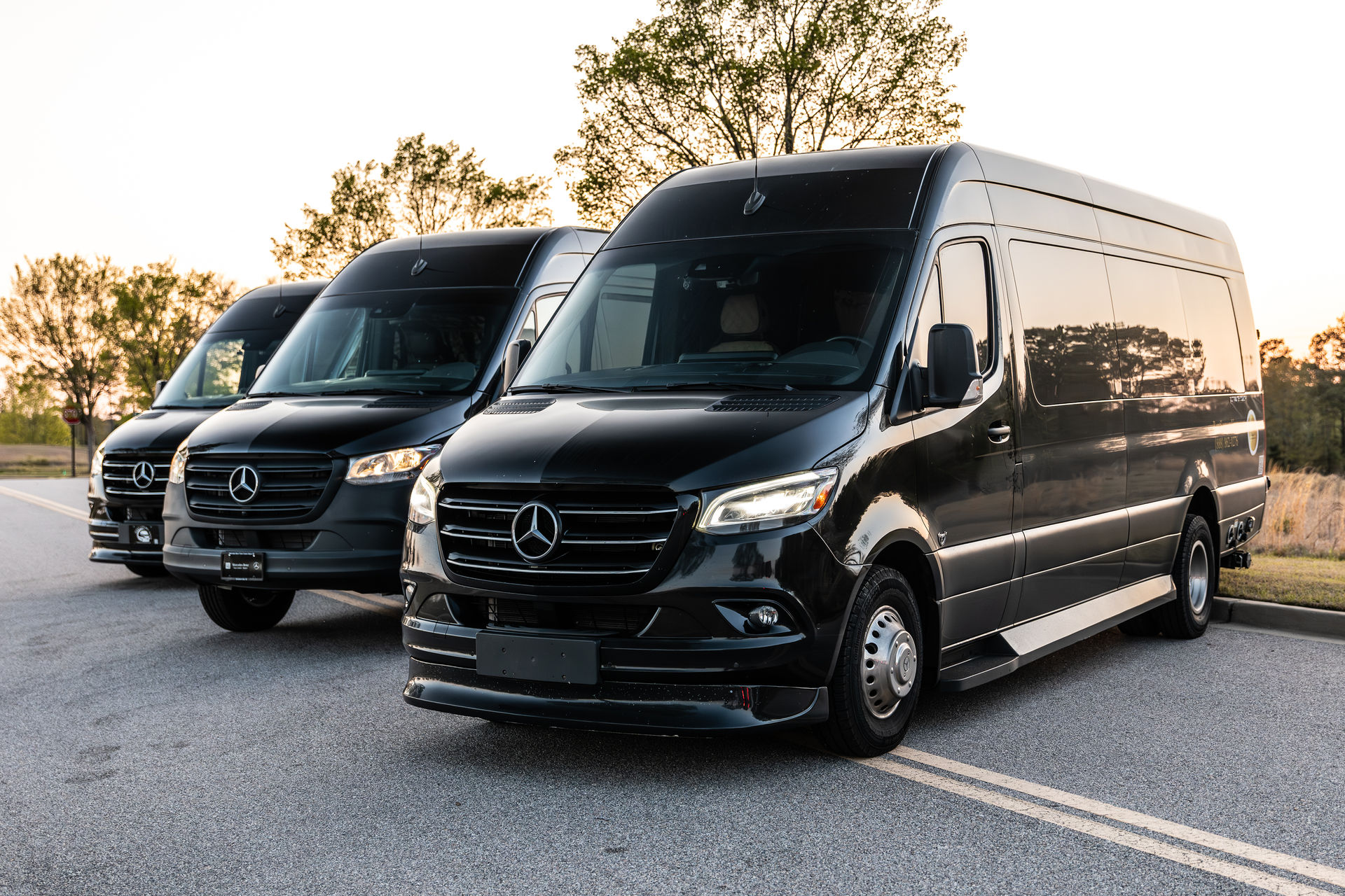 Party-Ready VIP Sprinter: Houston's Luxe Ride for Bachelorette's & Birthdays image 1