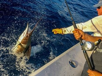 Lobstering and Fishing Boat Cruises BYOB Aboard Luxury Fishing Boat with Experienced Captain (Up To 6 Guests) image 7