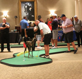 Pop-Up Mini Golf Course Rental for Your Event image 3