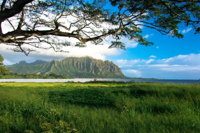 Complete Island Adventure: Best Oʻahu Full Island Tour image 4