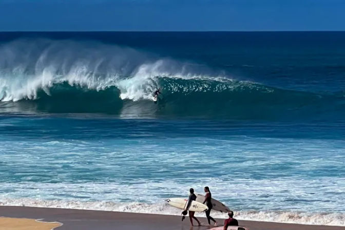 Complete Island Adventure: Best Oʻahu Full Island Tour image 11