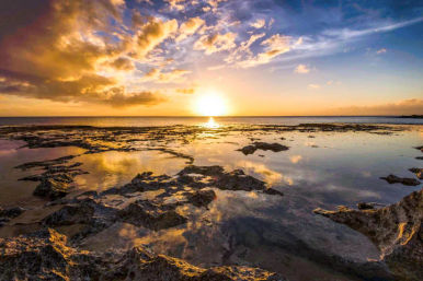 Complete Island Adventure: Best Oʻahu Full Island Tour image 10