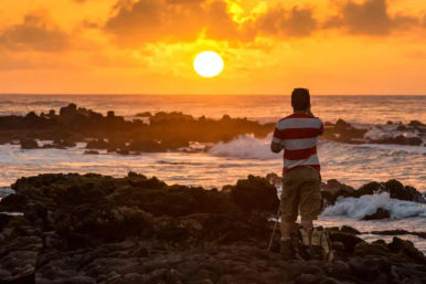 Complete Island Adventure: Best Oʻahu Full Island Tour image 7