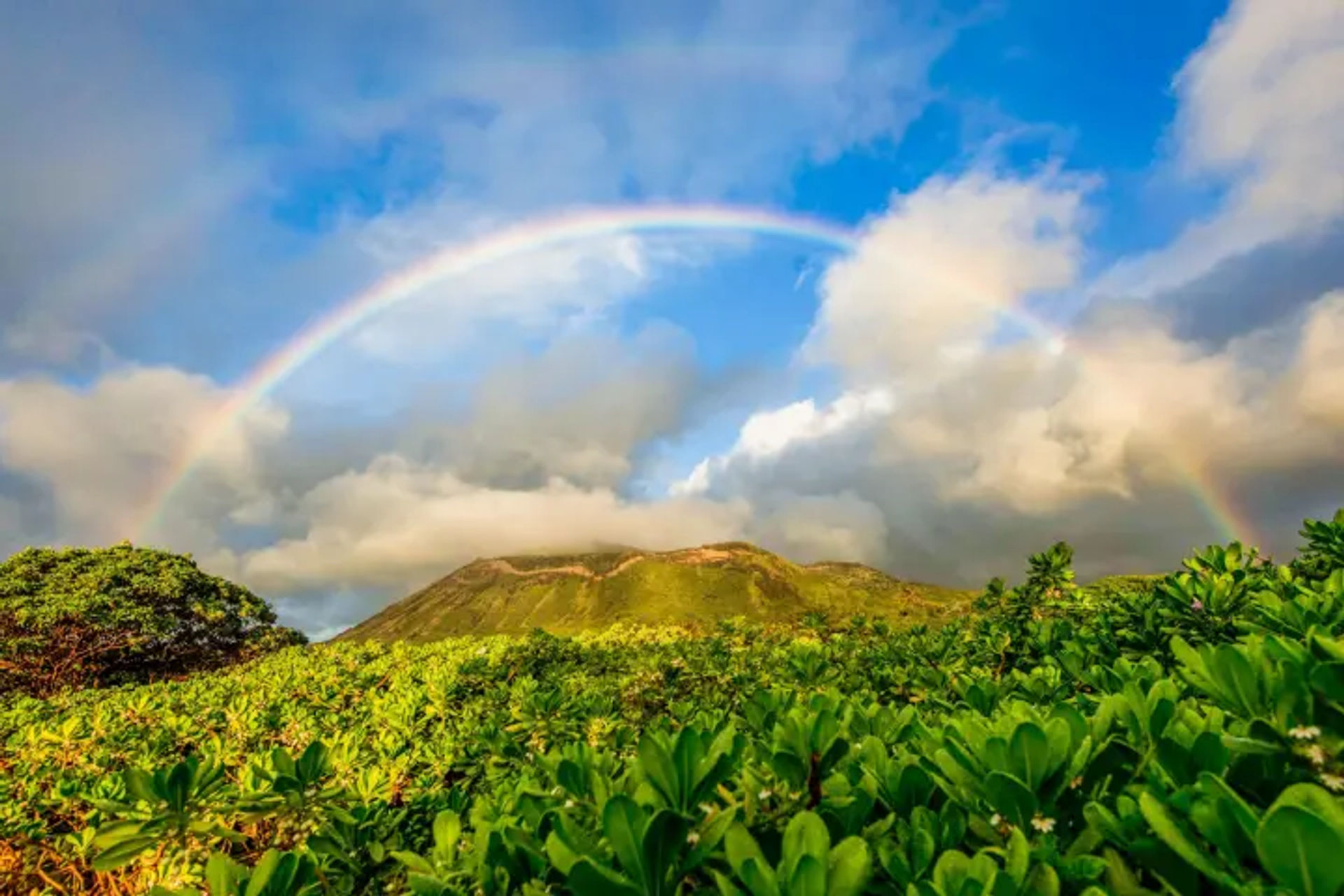 Complete Island Adventure: Best Oʻahu Full Island Tour image 2