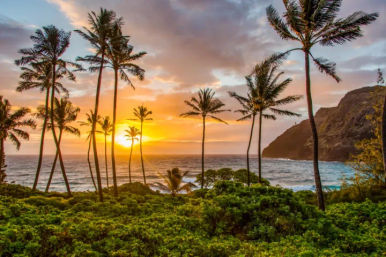 Complete Island Adventure: Best Oʻahu Full Island Tour image 3