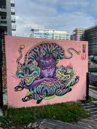 DC's Only Mural Tour of Noma & Union Market image 12