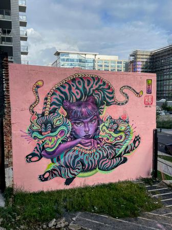 DC's Only Mural Tour of Noma & Union Market image 12