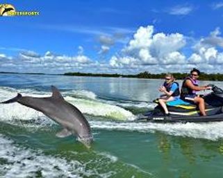 Jetting Through Dolphin Territory: A Two-Hour Jet Ski Dolphin Adventure in the Atlantic image 2