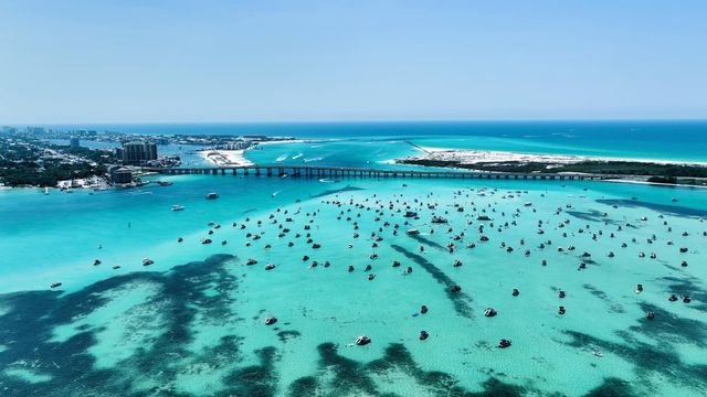 Crab Island Tiki Boat Cruise (BYOB) image 4