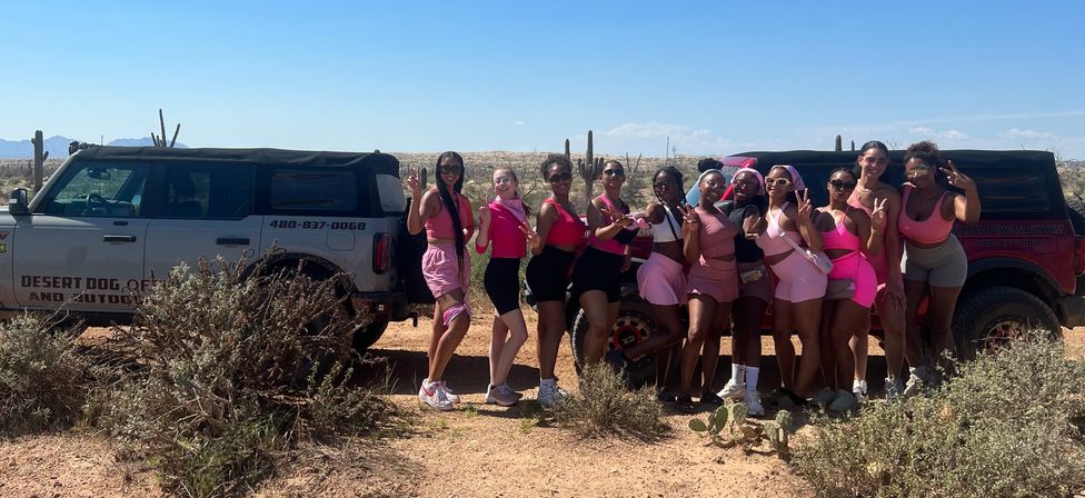 Expert-Guided UTV Tour in the Sonoran Desert: Up to 16 People image 21