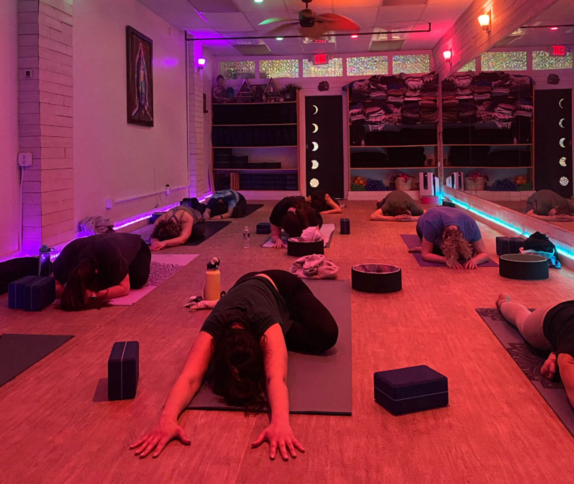 Private Group Yoga Class: Indoors or Outdoors image 1