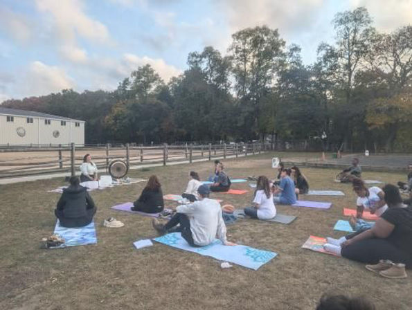 Private Group Yoga Class: Indoors or Outdoors image 5