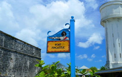 Land & Sea Tour: Catamaran Cruise, Landmark Tour + Atlantis Visit image 2