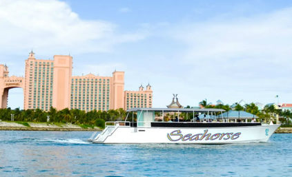 Land & Sea Tour: Catamaran Cruise, Landmark Tour + Atlantis Visit image