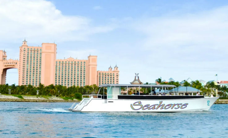 Land & Sea Tour: Catamaran Cruise, Landmark Tour + Atlantis Visit image 1
