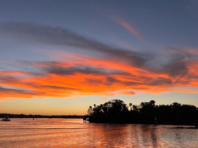 Private Boat Charter on Crystal River for Half or Full Day with Snorkeling, Manatees & Wildlife Water Tours image 4