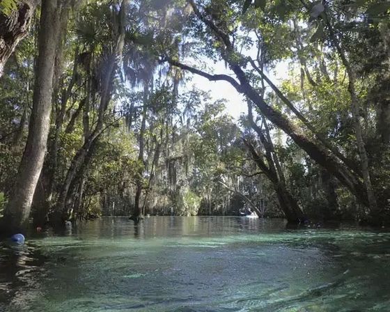 Private Boat Charter: Half or Full Day Rental with Snorkeling, Swimming, Exploring & More image 4
