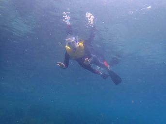 Private Boat Charter: Half or Full Day Rental with Snorkeling, Swimming, Exploring & More image 10