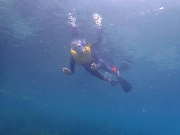 Private Boat Charter: Half or Full Day Rental with Snorkeling, Swimming, Exploring & More image 10