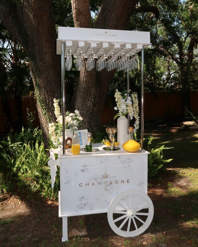 Bottomless Mimosa Bar: Catered Champagne Cart for Ultimate Brunch Vibes image 4