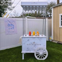 Bottomless Mimosa Bar: Catered Champagne Cart for Ultimate Brunch Vibes image 7