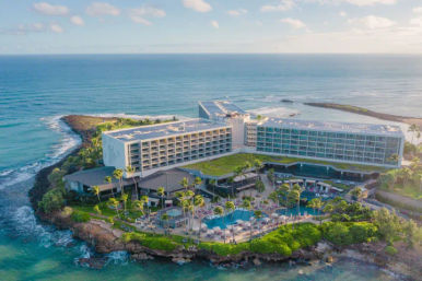 Private Turtle Bay Island Explorer Tour: North Shore Adventure image 4