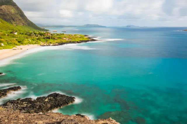 Private Turtle Bay Island Explorer Tour: North Shore Adventure image 3