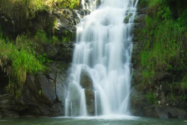 Private Turtle Bay Island Explorer Tour: North Shore Adventure image 5