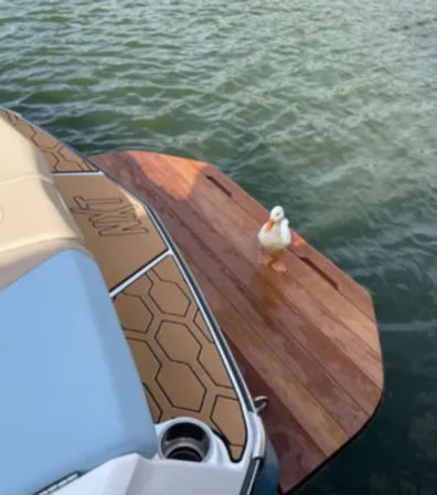Blue Dream Boat Rentals: Surf, Chill & Play image 4