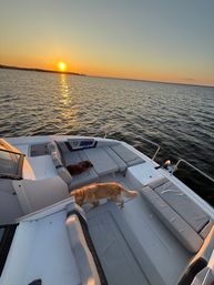 Catamaran Yacht Adventure with Sprinter Van Transport image 5