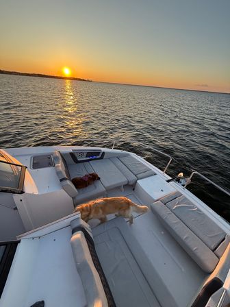 Catamaran Yacht Adventure with Sprinter Van Transport image 5