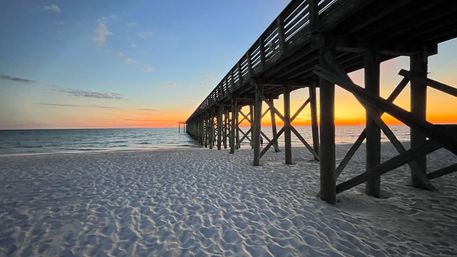 E-Bike Tour: Alligators, Exercise, Beach Time & More image 9