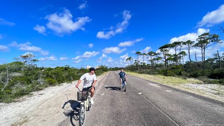 E-Bike Tour: Alligators, Exercise, Beach Time & More image 7