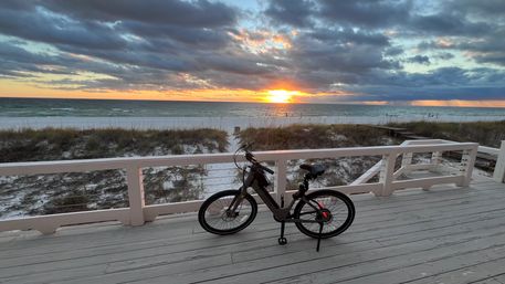 E-Bike Tour: Alligators, Exercise, Beach Time & More image 4