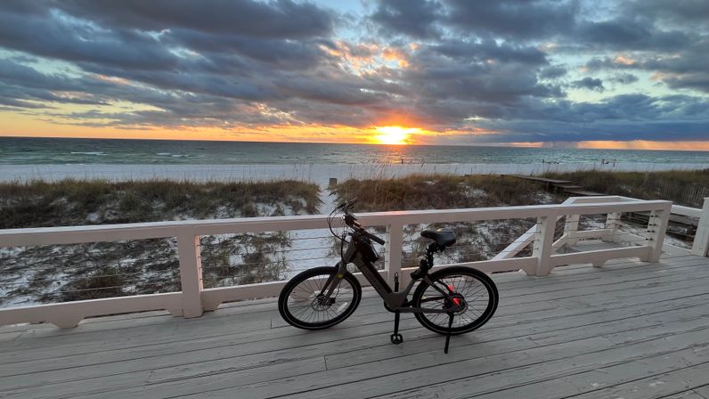 E-Bike Tour: Alligators, Exercise, Beach Time & More image 4