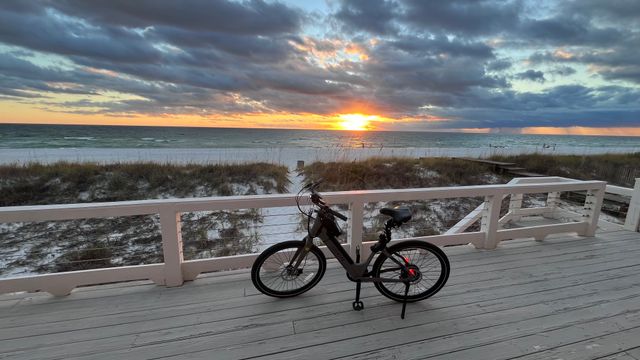 E-Bike Tour: Alligators, Exercise, Beach Time & More image 4
