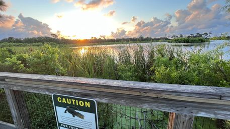 E-Bike Tour: Alligators, Exercise, Beach Time & More image 5