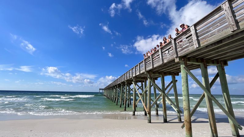 E-Bike Tour: Alligators, Exercise, Beach Time & More image 3