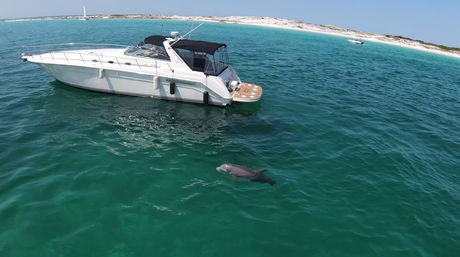 4-Hour Luxury Yacht Sunset & Dolphin Cruise (Up to 12 People) image
