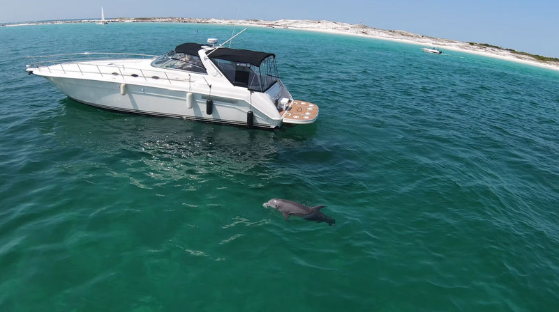 4-Hour Luxury Yacht Sunset & Dolphin Cruise (Up to 12 People) image 1