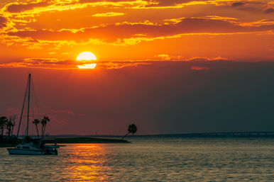 4-Hour Luxury Yacht Sunset & Dolphin Cruise (Up to 12 People) image 19