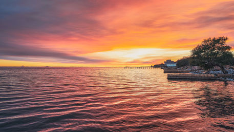 4-Hour Luxury Yacht Sunset & Dolphin Cruise (Up to 12 People) image 7