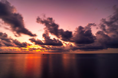 4-Hour Luxury Yacht Sunset & Dolphin Cruise (Up to 12 People) image 22