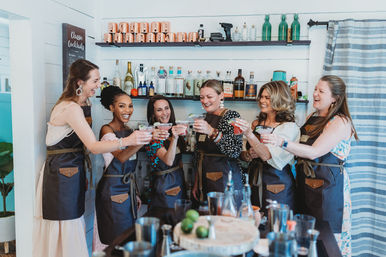 Private Mixology Experience at Your Vacation Rental: Shake Your Tin Can with Assemble Cocktail Workshop (BYOB) image